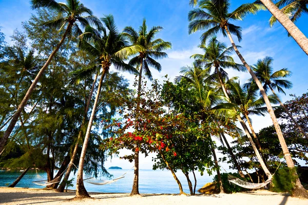 Stro hangmatten op palmen — Stockfoto