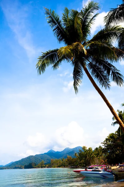 Båtar på vatten och palmer — Stockfoto