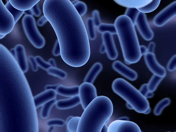 Mikroby — Zdjęcie stockowe