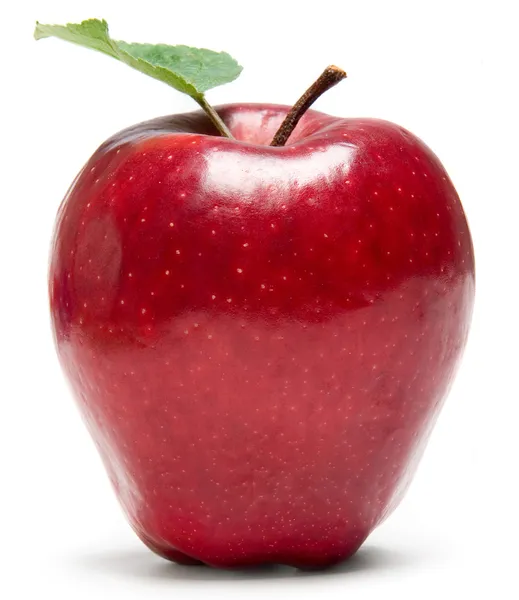 Fresh red apple Stock Image