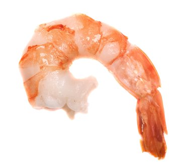 Shrimp clipart