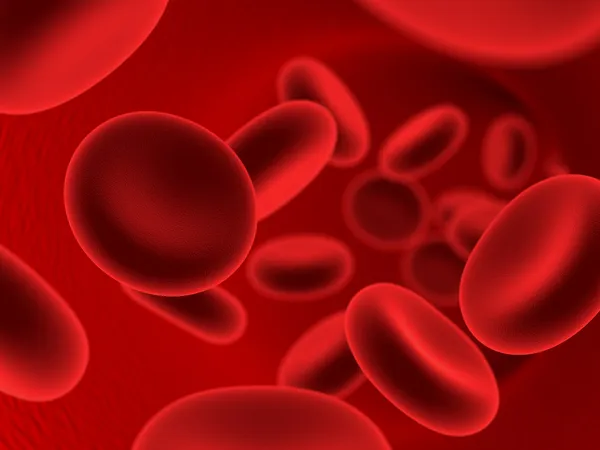 Клітин крові — стокове фото