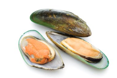 Green mussels clipart