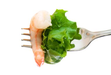 Shrimp and lettuce clipart