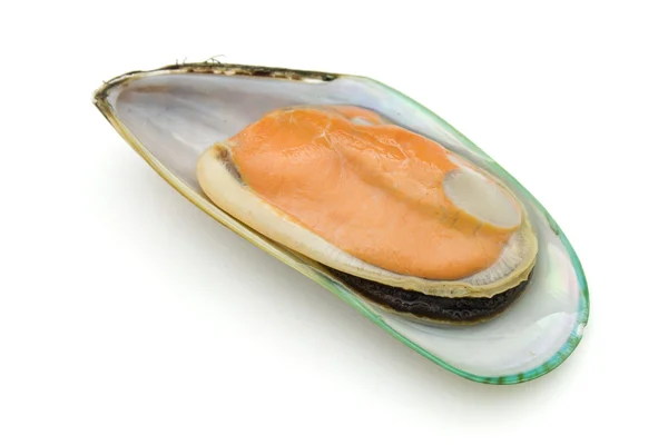 Hälften av gröna musselbäddar — Stockfoto