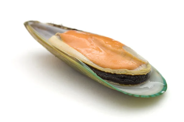 Nya Zeeland gröna musselbäddar — Stockfoto