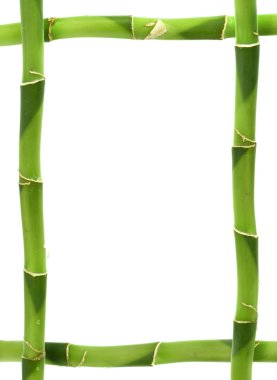 Bamboo frame clipart