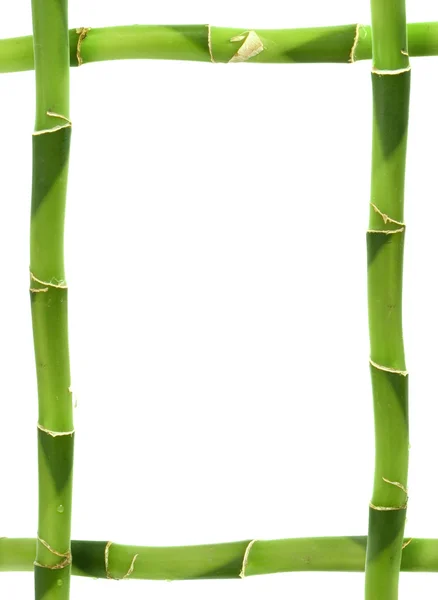 Marco de bambú —  Fotos de Stock