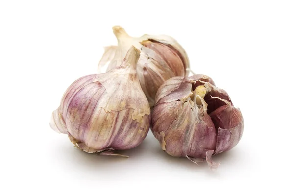 stock image Garlic