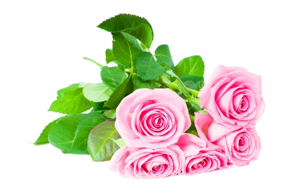 Buquê de belas rosas rosa — Fotografia de Stock