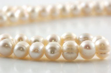 Pearl necklace with reflection on white