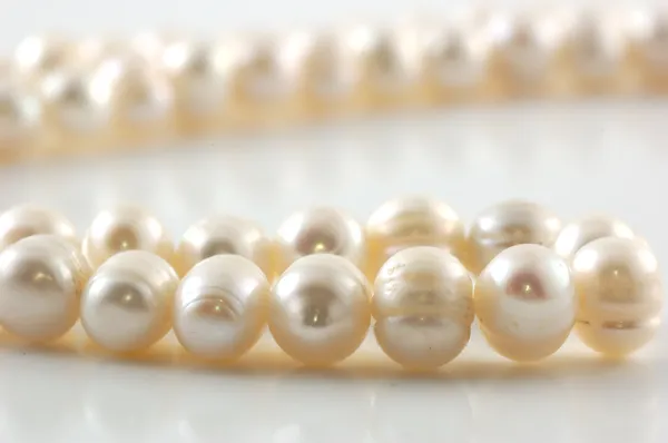 Pearl necklace with reflection on white — Stock Photo, Image