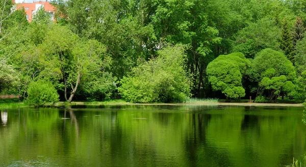 Lago tranquilo en medio del bosque —  Fotos de Stock