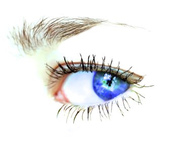 Closeup shot of eye on white background clipart