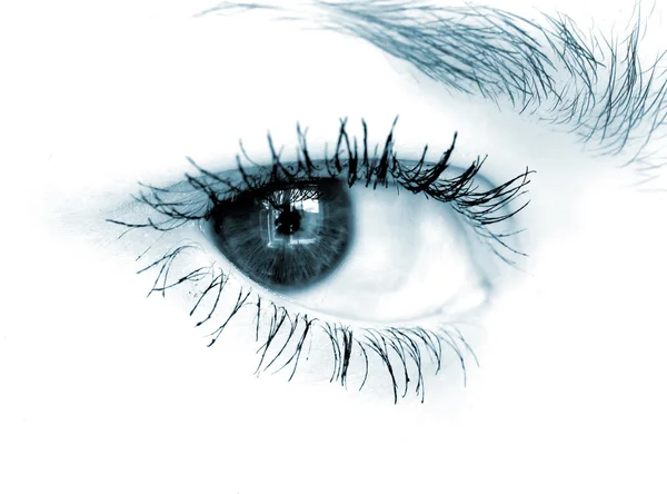 Beyaz backgr mavi göz closeup çekim — Stok fotoğraf