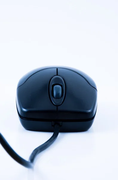 Siyah mouse — Stok fotoğraf