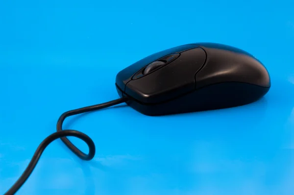 Siyah mouse — Stok fotoğraf
