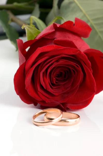 Dva snubní prstni zlaté vedle červené růže — Stock fotografie