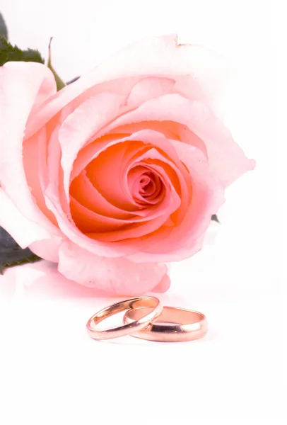Två guld vigselringar bredvid en rosa ros — Stockfoto
