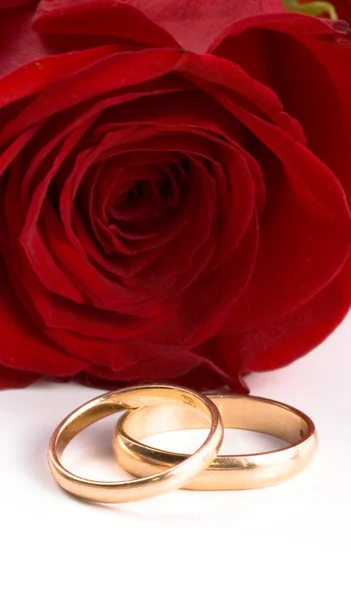 Два золотых обручальных кольца рядом с красной розой — стоковое фото