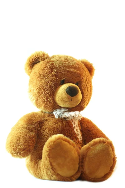 Teddybär — Stockfoto