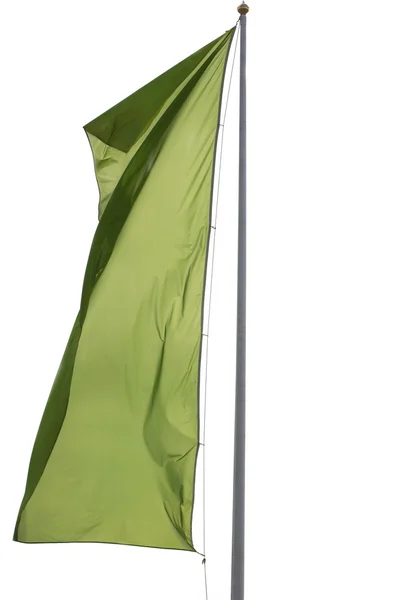 Πράσινη, κυματίζουσα σημαία — Φωτογραφία Αρχείου