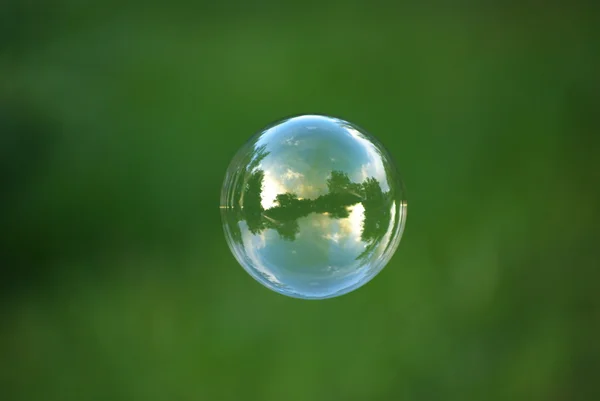 Мильна бульбашка Стокове Фото