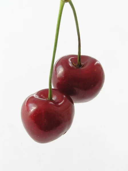 Two cherries — Stock Photo, Image
