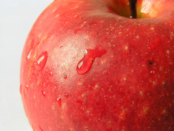 Kırmızı elma 2 — Stok fotoğraf