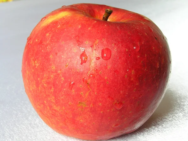 Vörös apple3 — Stock Fotó