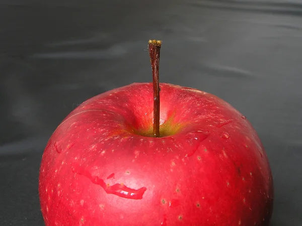 Apfel 6 — Stockfoto