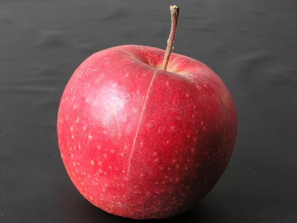 Apfel 7 — Stockfoto