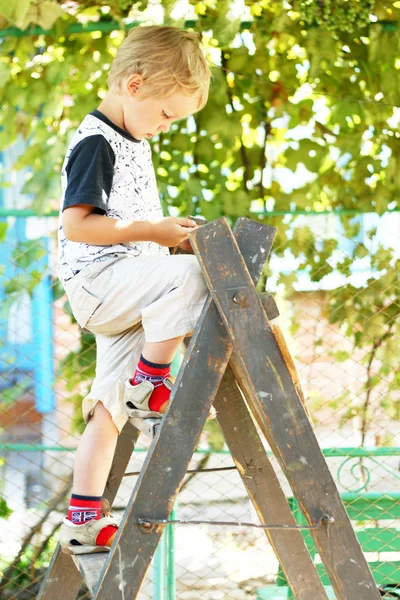 Malý chlapec dosáhnout sklizně — Stock fotografie