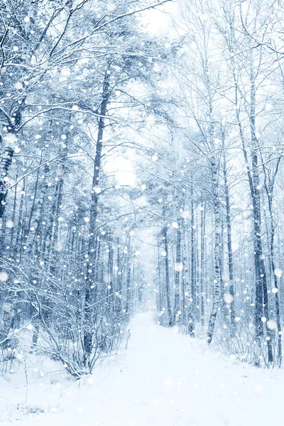 Vintern fairytale — Stockfoto