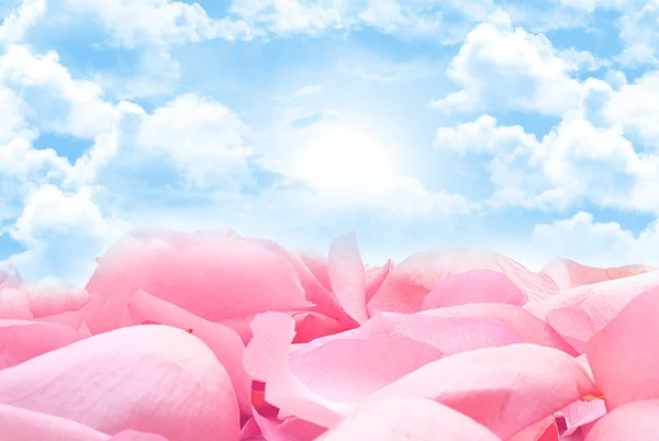 부드러운 핑크색 꽃잎이 하늘에서 — 스톡 사진