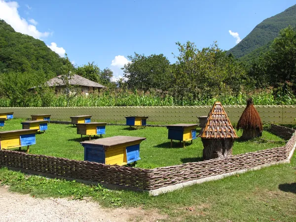 stock image Apiary in the mountains