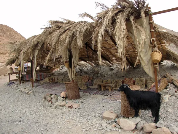 Beduiński namiot — Zdjęcie stockowe