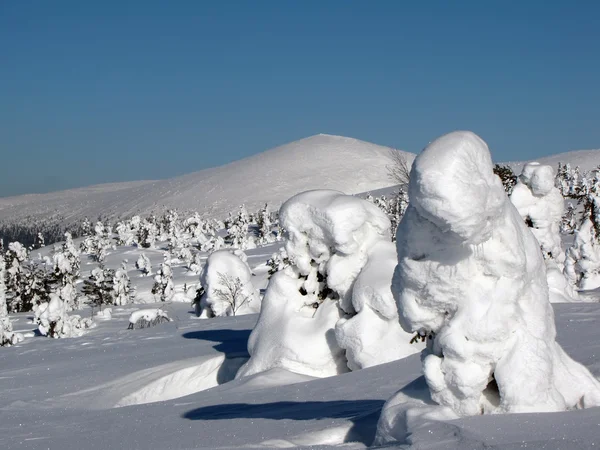 Kış sahne — Stok fotoğraf