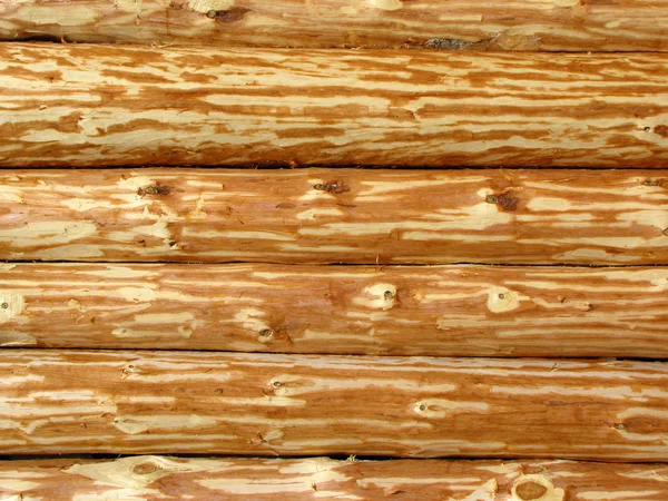 Trä logg vägg — Stockfoto
