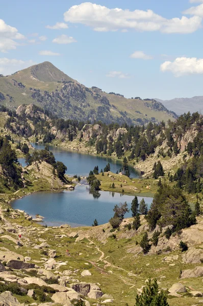 Beuatiful Pirenejów — Zdjęcie stockowe