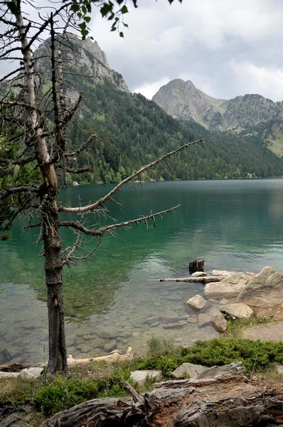 Lake in mountains — Stock Photo, Image