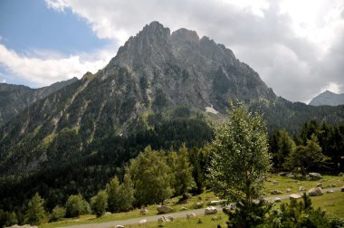 Pyrenees