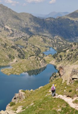 Pyrenees clipart