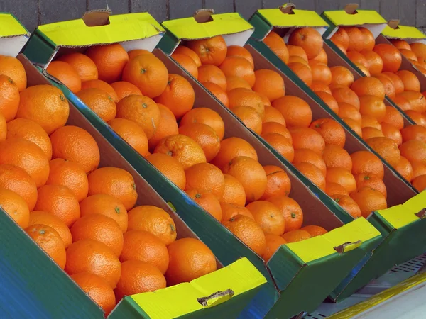 stock image Oranges