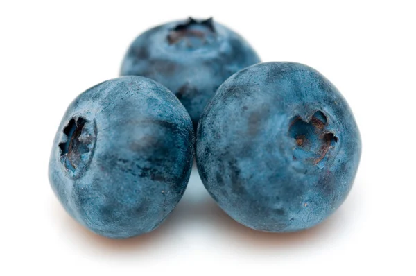 Stock image Blueberry