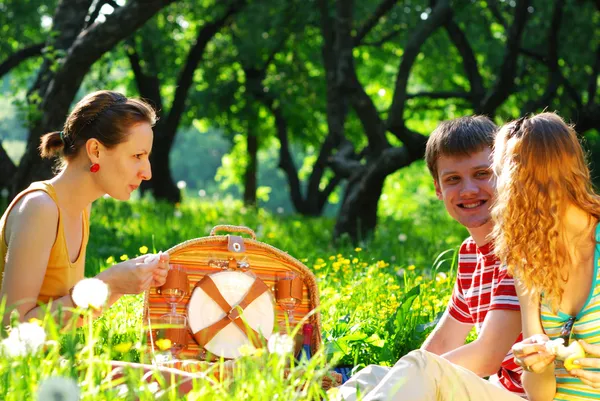 Przyjaciele na piknik — Zdjęcie stockowe