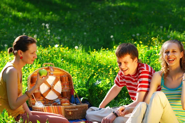 Vrienden op picknick — Stockfoto