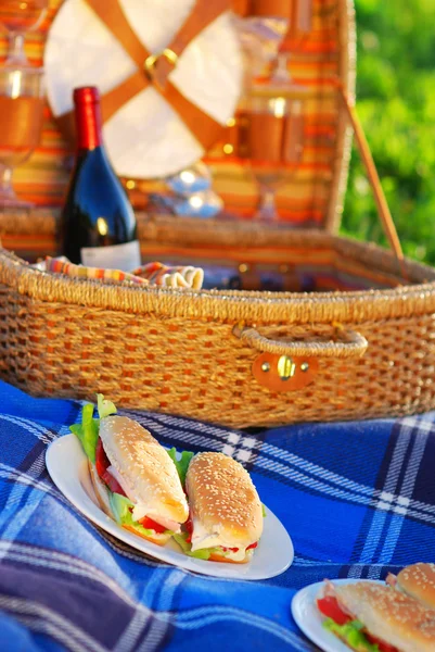 Picknick smörgåsar — Stockfoto