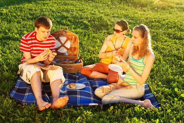 Vänner på picknick — Stockfoto