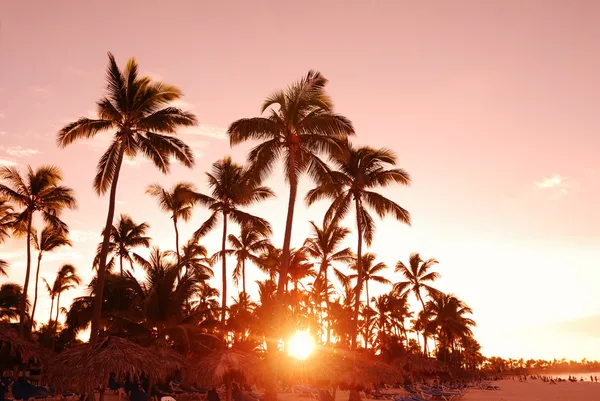 Caribbean sunset — Stock Photo, Image